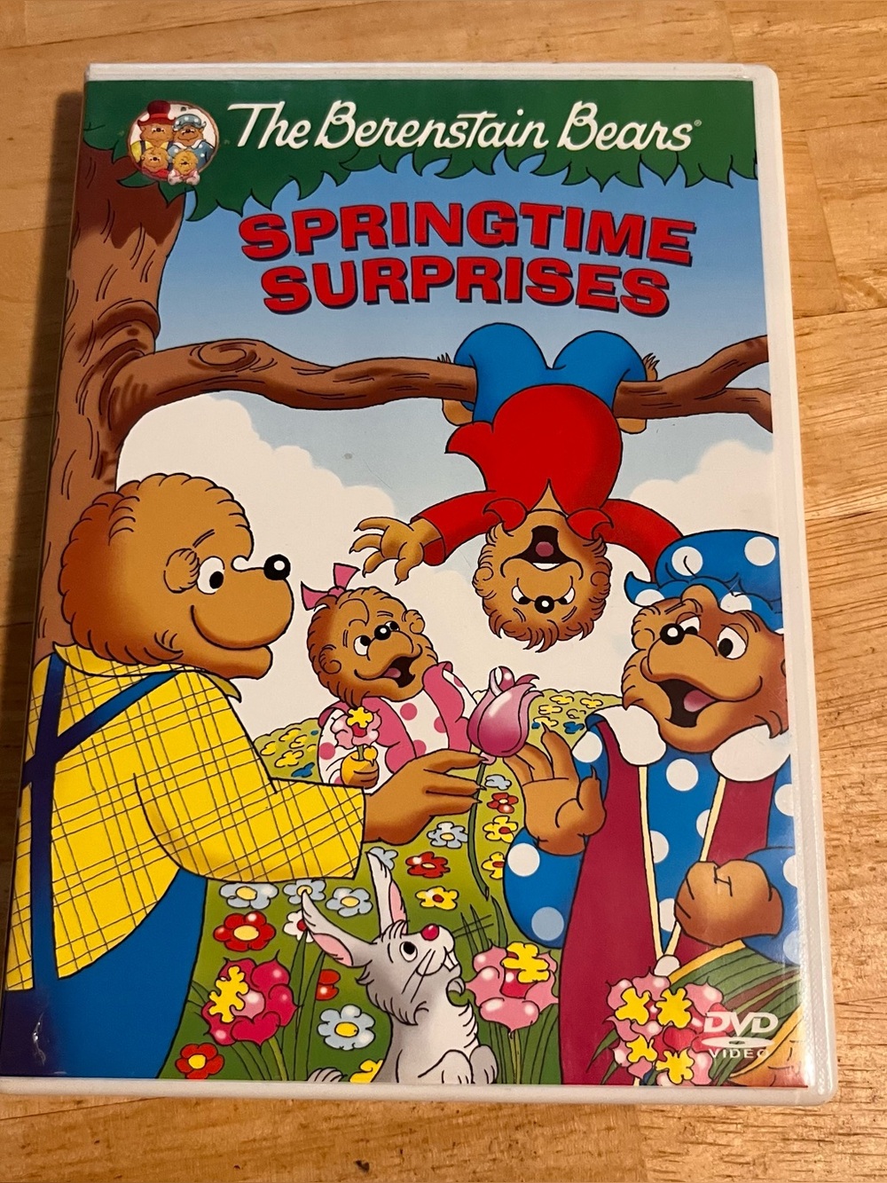 The Berenstain Bears Springtime Surprises DVD